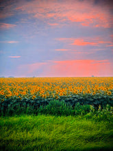 2465575 :: Giclée Fine Art Matte Paper Print